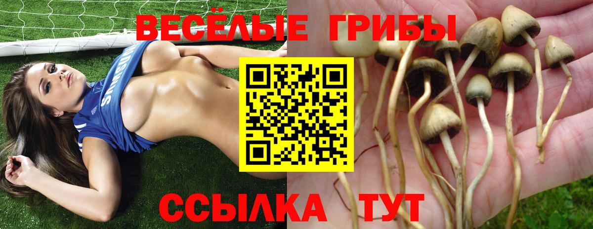 Уссурийск  Галлюциногенные грибы MAGIC MUSHROOMS  Вход с VPN 